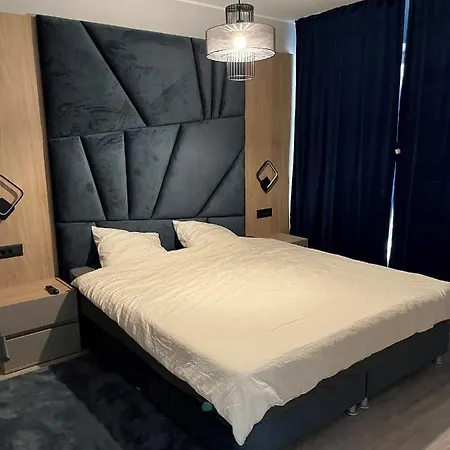 Ap By Zora Năvodari