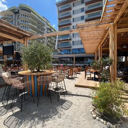 Ap By Zora Năvodari